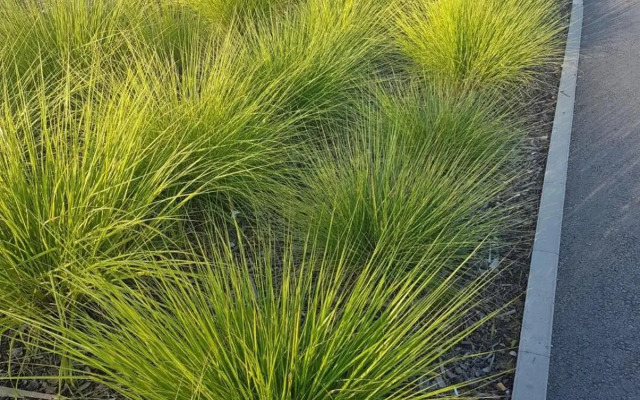 Studio apartman Zagreb zapad Vrapče