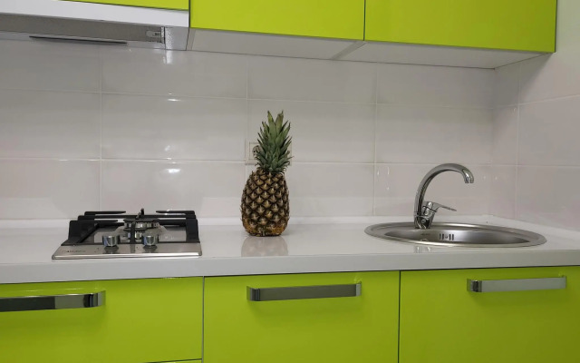 Апартаменты на проспекте Маркса 20