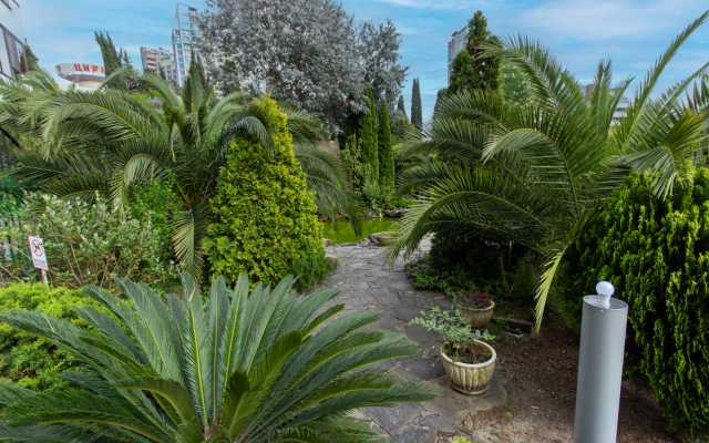 Millenium Apartments