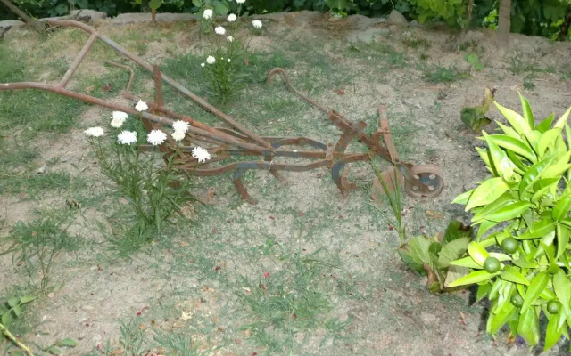 Quinta das Lindas 2