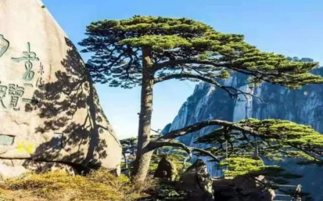 Huali Hotel (Huangshan North High-speed Railway Station)