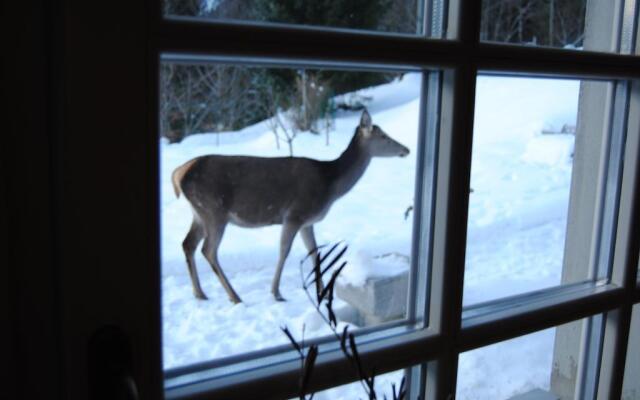 La Lince Lodge