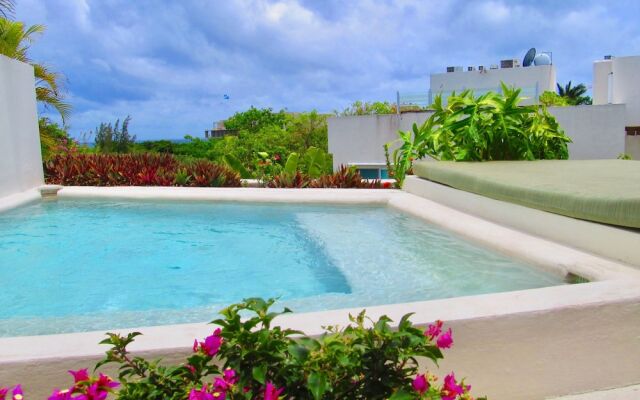 Bosque De Los Aluxes Bamboo By Playa Paradise