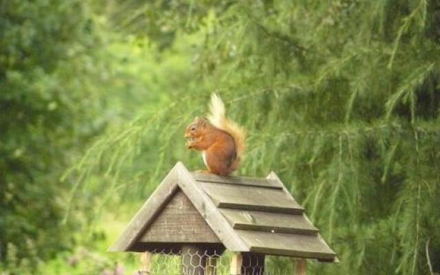 Firwood Country Bed and Breakfast