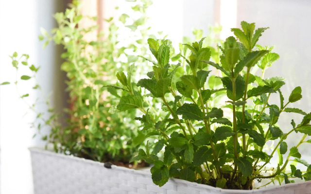 Hostel Little Quarter