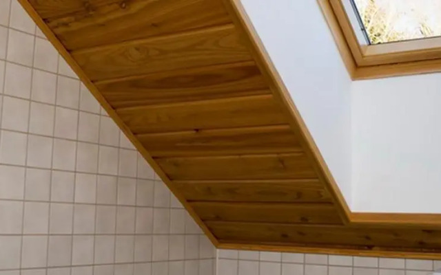 Lehise Holiday House