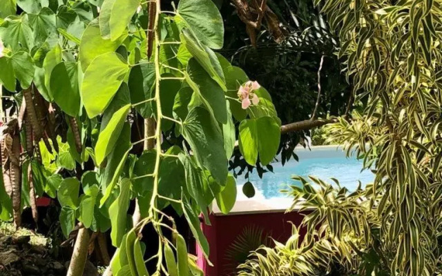 Magnifique Villa Bauhinia, Piscine vue mer
