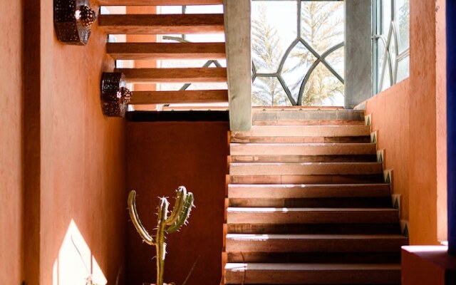 Riad Mellado by Grupo Afekto