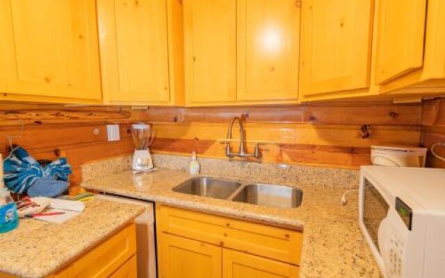 Pine Forest Cabin
