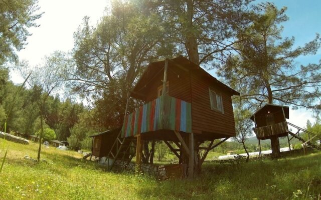 Olympos Woods - Adults Only