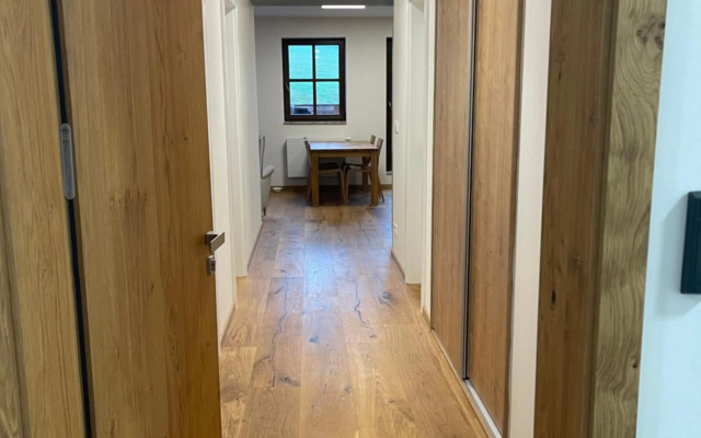 Wellness apartmán Pila Kvilda