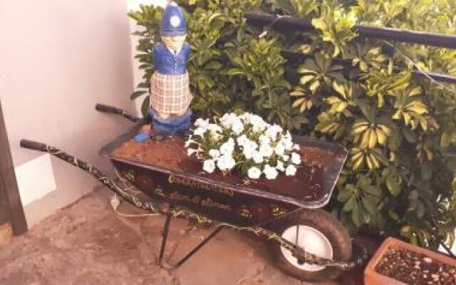 Ziggy's Mountain Retreat