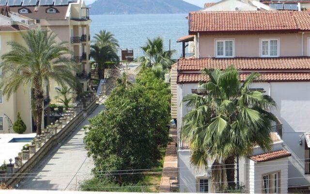 Stella Classic Apart