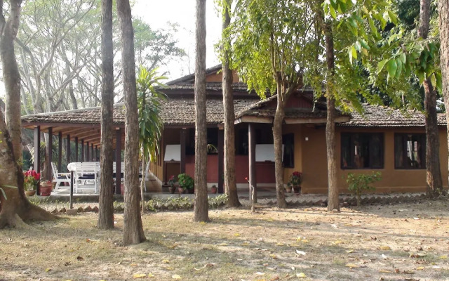 Safari Narayani Hotel- All Inclusive