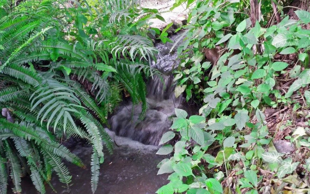 Ruan Mai Hom KINIMAN