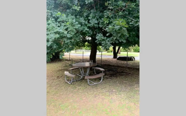 Affordable GEM in the heart of Inverloch – Outside – Inverloch