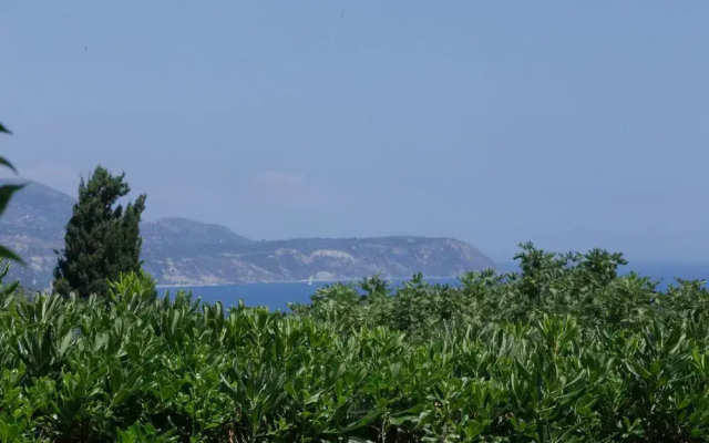 Studio Dimitra