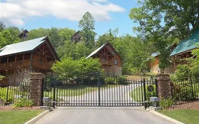 Buddy Bear 249 by Aunt Bug's Cabin Rentals