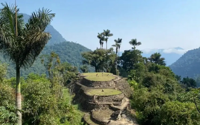 Tree of Life - Hostel