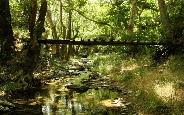 Onar Andros