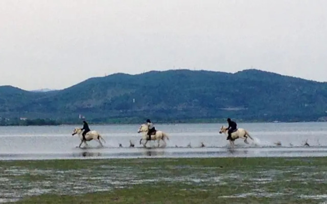 Riserva Naturale Foce dellIsonzo