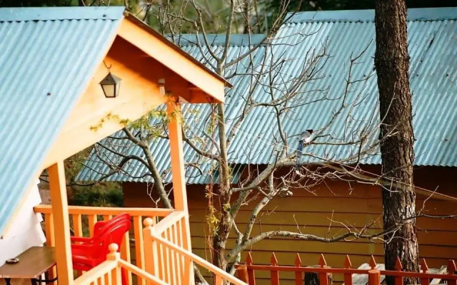 Himgiri Nature Retreat, Rajgarh