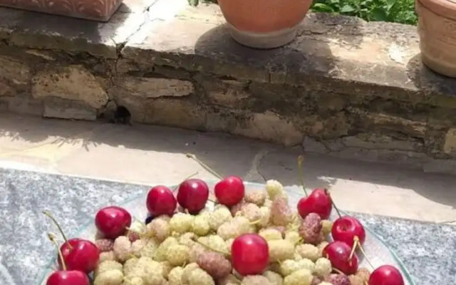 Casa Juliana Comfortable Holiday Residence