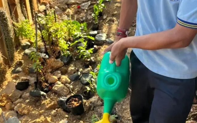 explora guajira cx mar azul - cabo de la vela