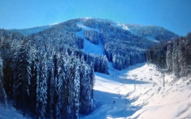 Apartment D17, Cedar Lodge 4