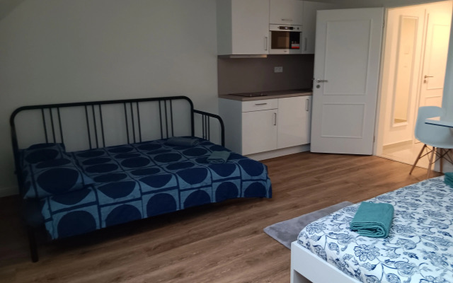 1 Br Apartment at Prague 1