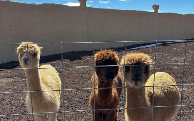 Raptor Ranch Glamping