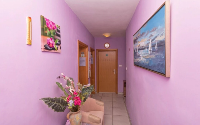 Goran - in the Center of the City - A4 Ljubičasti