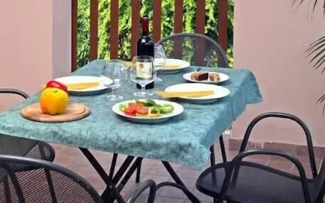 Camping Garden Tourist