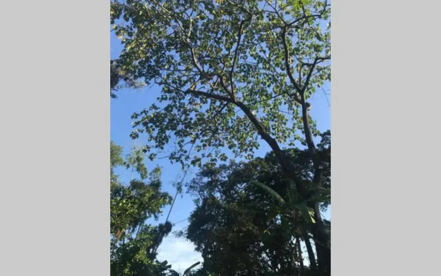 Villa Tete - Rest House -Pool