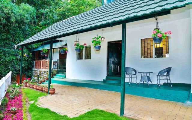 Amber by The Tamarillo