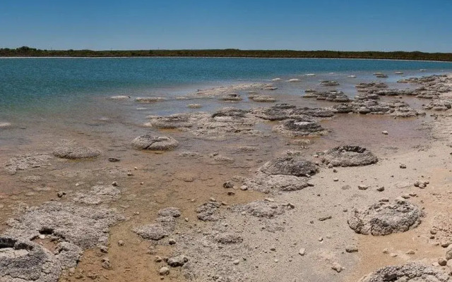 Cervantes Holiday Homes