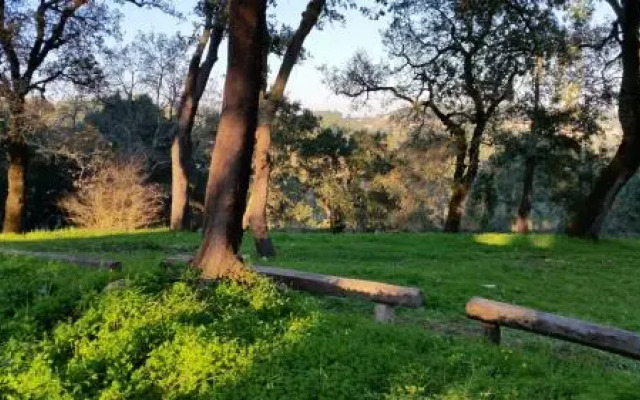 Quinta da Casa Velha Agroturismo