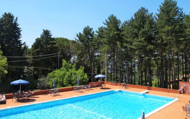 San Vivaldo, Nr. 3 (MOI133)