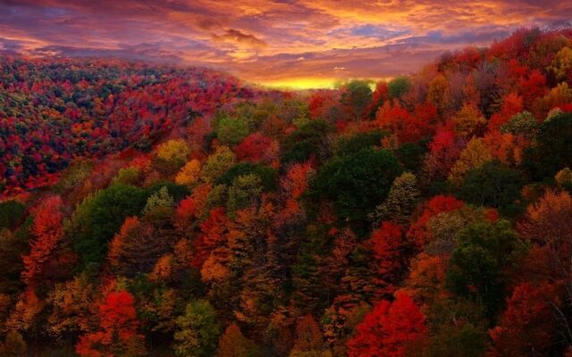 Lotus Mountain Retreat