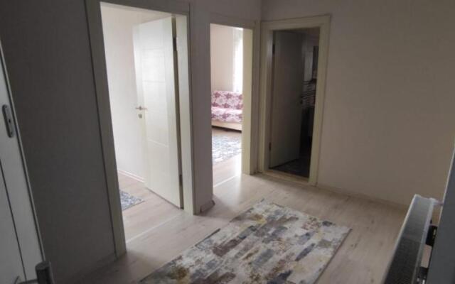 Elva Suites
