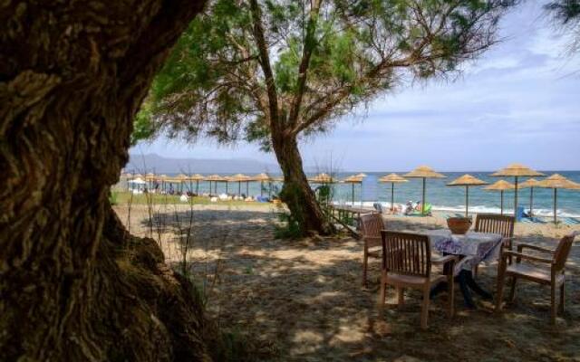 Seafront Paradise