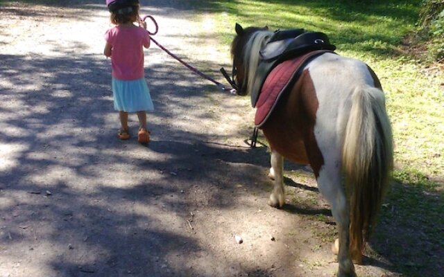Les Hauts de Hurlevents - Le Buffalo