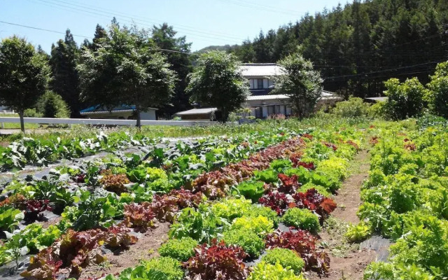 Guest House Pole Pole
