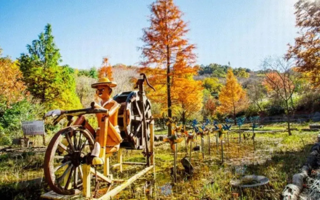 Chengyang Goun Healing Glamping