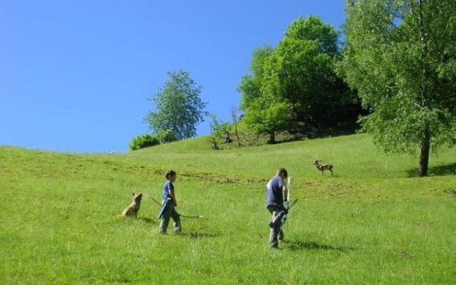 Zuwälder Stüble