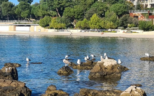 Vila Tena Rovinj Croatia