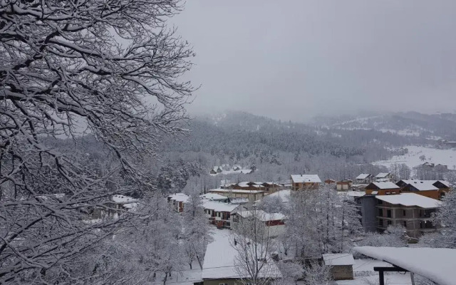 Villa B Barleon-Bakuriani