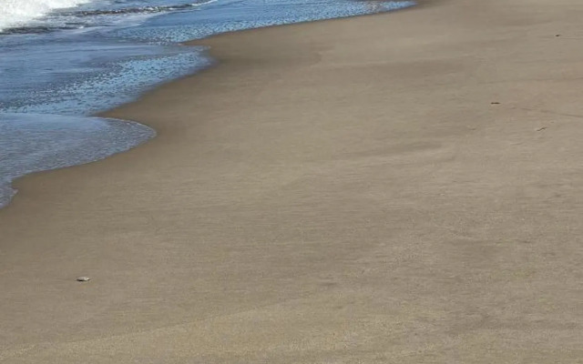 Residence le Coccinelle