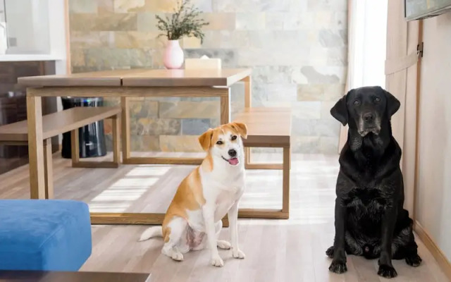 Rakuten STAY VILLA Fuji Yamanakako