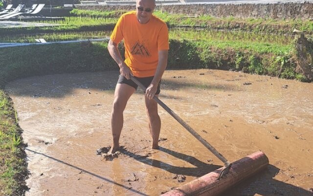 Bali De Pardis Cottage